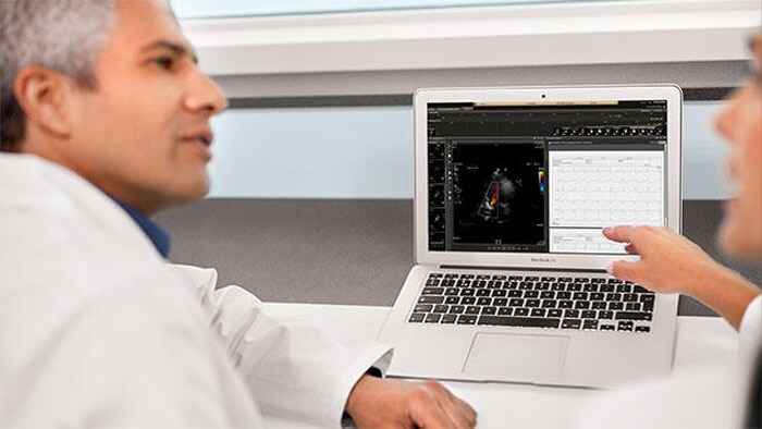 Clinicians discussing over scan in laptop screen