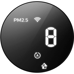 PM2,5 dalelių lygio rodiklis